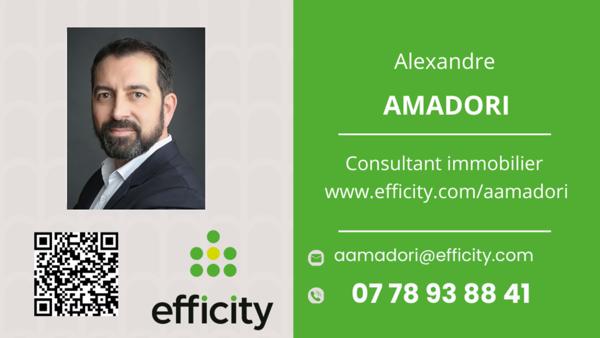 Immeuble 8 pièces - 174 m² Exclusivité efficity