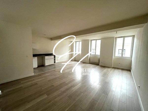 T3 RENOVE DANS L'HYPER CENTRE