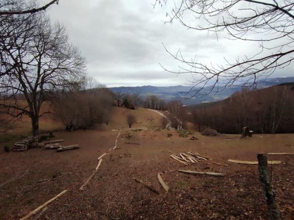 Maison à vendre |  Prayols |  5 pièces | 22 m²