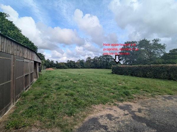 56130 FEREL - Rare à la vente ! Maison en pierres, 3 chambres au rdc, étage aménageable- 6 garages