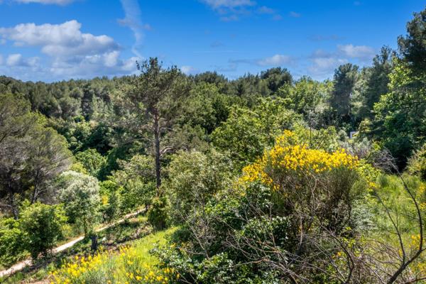 Opportunité Unique ! Terrain à Bâtir – Souriez, Vous Construisez !