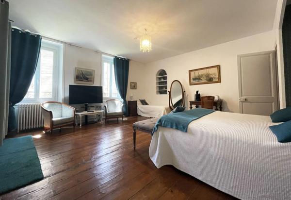 Château + gîte avec activité d’hébergement touristique proche de COGNAC (16)