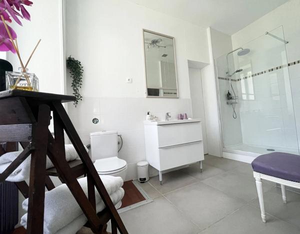 Château + gîte avec activité d’hébergement touristique proche de COGNAC (16)