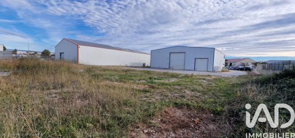 Terrain à vendre 1 100 m² Rivesaltes