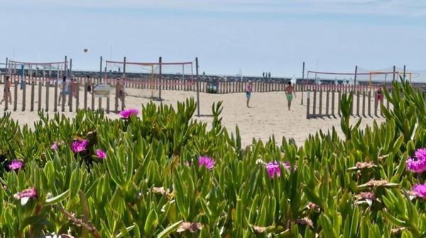 Immeuble à vendre proche de CARNON PLAGE (34)