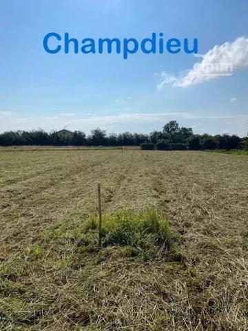 ✨Cimm Immobilier Veauche✨