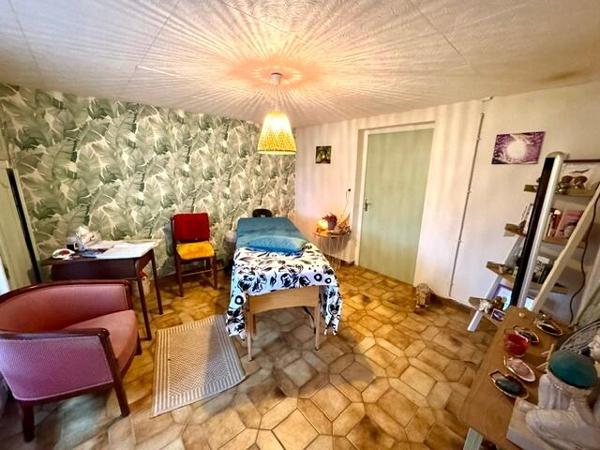 Exclusivité - Ensemble comprenant maison et appartement 140 m2 sur 3902 m2 de terrain