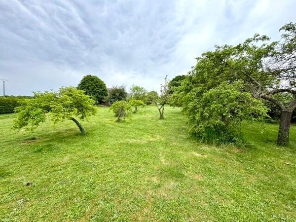 Exclusivité - Ensemble comprenant maison et appartement 140 m2 sur 3902 m2 de terrain
