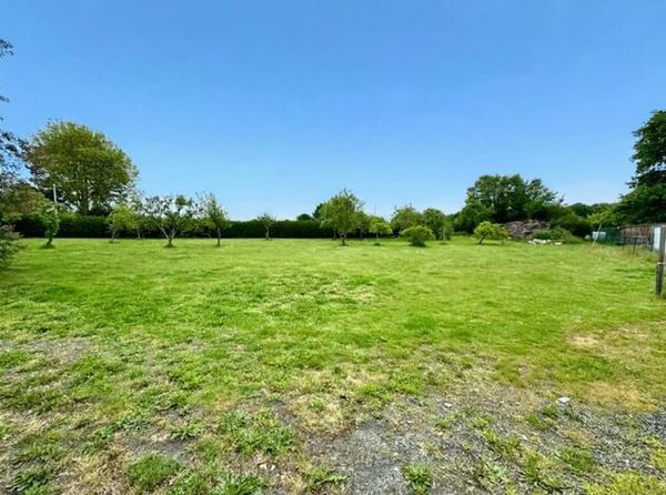 Exclusivité - Ensemble comprenant maison et appartement 140 m2 sur 3902 m2 de terrain