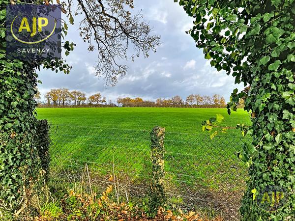 Vente maison Savenay : 381 425 € - AJP Immobilier Savenay