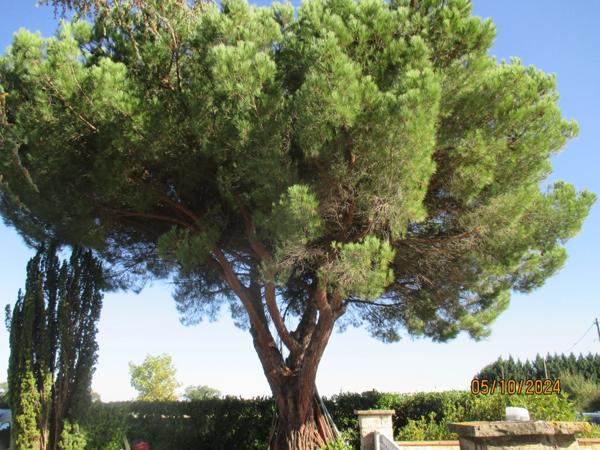 Maison à vendre 8 pièces (09)