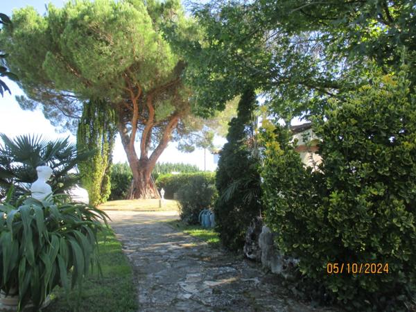 Maison à vendre 8 pièces (09)