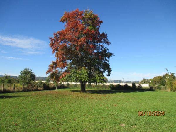 Maison à vendre 8 pièces (09)