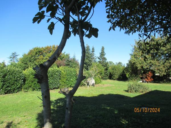 Maison à vendre 8 pièces (09)