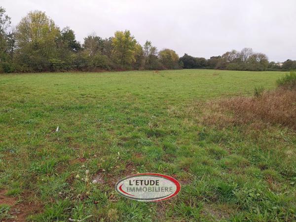 STE PAZANNE : 500 du bourg, terrain de 429 m², libre de constructeur !