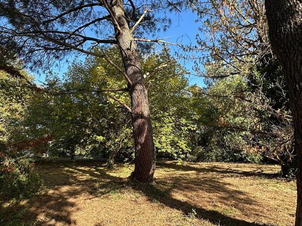 Terrain Buzet Sur Tarn 1345 m2