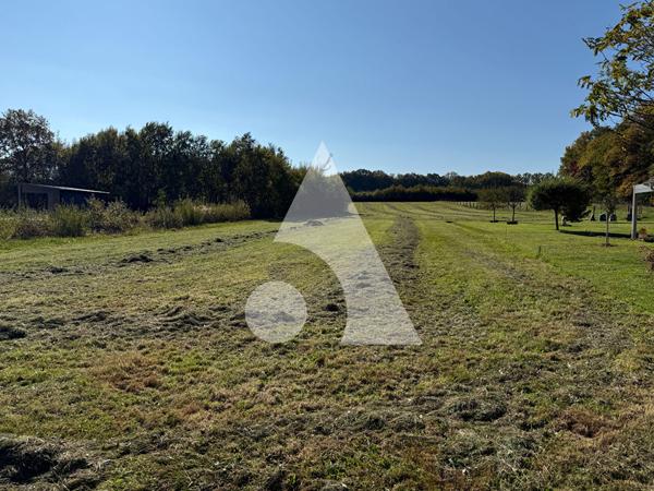 Terrain 9343 m2
