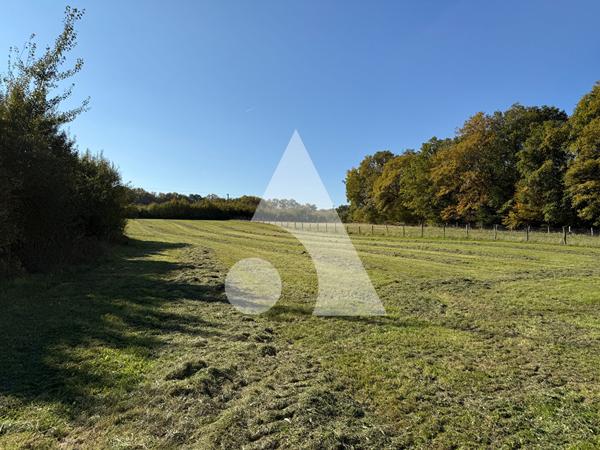 Terrain 9343 m2