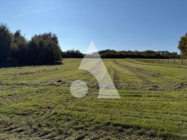 Terrain 9343 m2