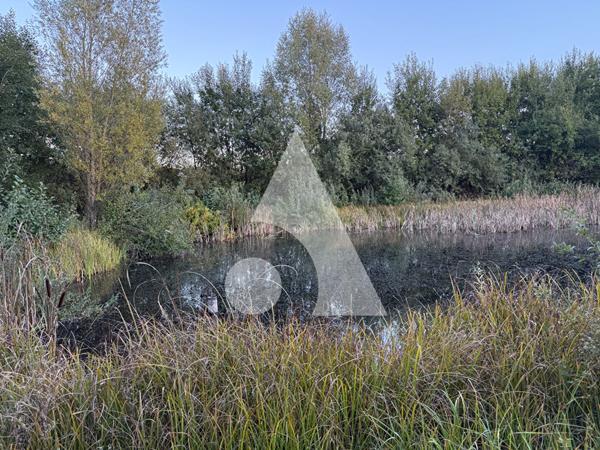 Terrain 9343 m2