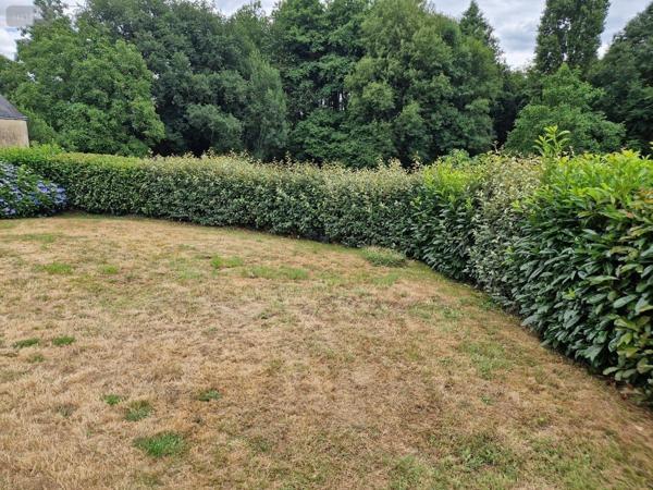 Maison à vendre à Plumelec dans le Morbihan (56420), ref : 56050-668