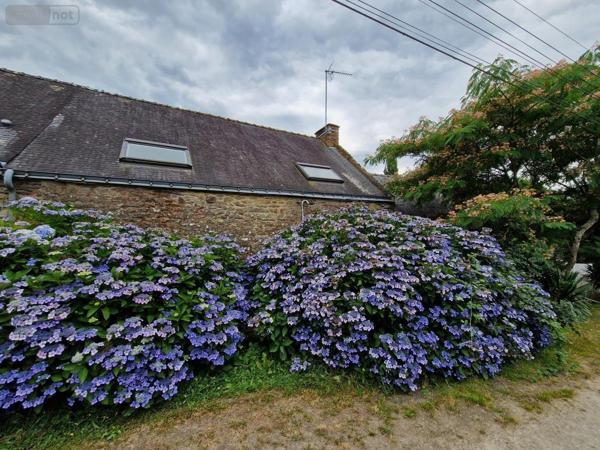 Maison à vendre à Plumelec dans le Morbihan (56420), ref : 56050-668