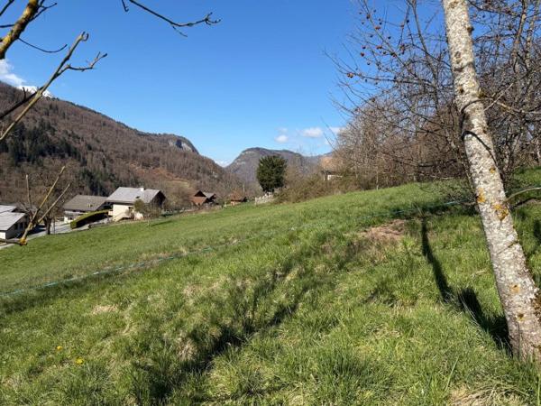 Vente / Terrain constructible