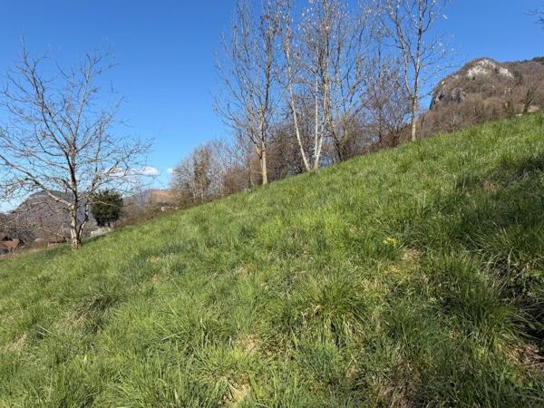 Vente / Terrain constructible