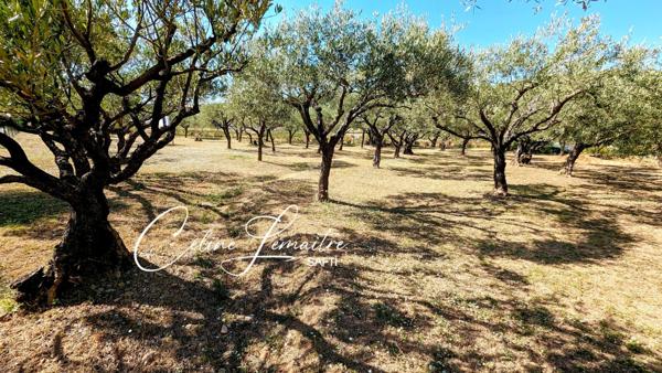 magnifique terrain à bâtir plat