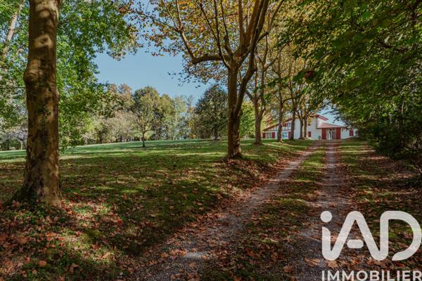 Maison à vendre 6 pièces 229 m² Urt