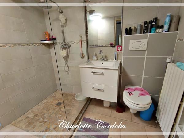 Maison familiale 5 pièces avec de beaux volumes à vendre à Colayrac-Saint-Cirq