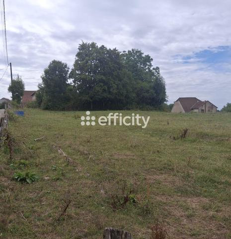 Terrain - 1040 m² Exclusivité efficity