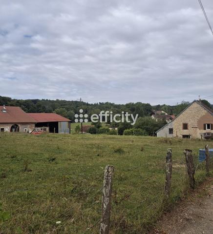 Terrain - 1040 m² Exclusivité efficity