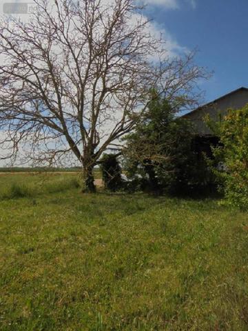 Maison à vendre à Séris dans le Loir-et-Cher (41500), ref : 091/1524