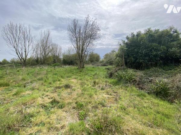 Maison + dépendances en pierre