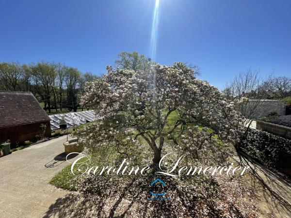 Maison à vendre AXE CONNERRE /LA FERTE BERNARD (72)Maison de Maitre 245 m² habitables, dépendances, piscine , terrain 1550 m²