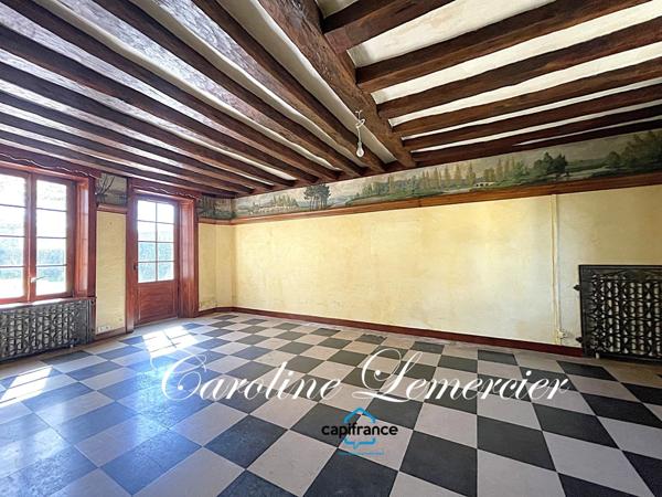 Maison à vendre AXE CONNERRE /LA FERTE BERNARD (72)Maison de Maitre 245 m² habitables, dépendances, piscine , terrain 1550 m²