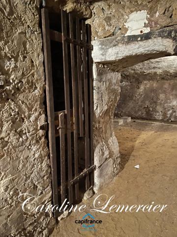 Maison à vendre AXE CONNERRE /LA FERTE BERNARD (72)Maison de Maitre 245 m² habitables, dépendances, piscine , terrain 1550 m²