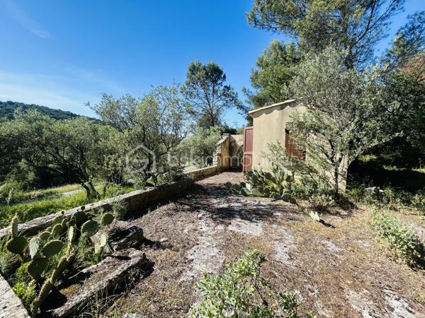 NOUVEAU et en EXCLUSIVITÉ à Saint Gervasy ! Vous avez un petit budget mais rêvez de nature et d’espace ?

En zone naturelle, venez découvrir cette maison de plain pied qui possède un charme fou, nichée au coeur de la verdure sur un terrain de 1239 m² !

Édifiée en 1973, elle se compose: d’un salon, d’une salle à manger, d’une cuisine, de 2 chambres, et d’une salle d’eau avec wc.

En partie avant : nombreuses places de stationnement possibles, garage de 15 m² environ et abri bois; en partie arrière: un beau jardin méditerranéen arboré, un petit mazet de 5 m² environ, et une petite cave.

Les prestations: chauffage électrique ( radiateurs) + poêle à bois. Présence de l’eau de ville, menuiseries simple et double vitrage ( PVC et bois). Fosse septique.

A vos agendas pour la visite !
