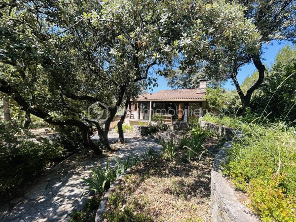 NOUVEAU et en EXCLUSIVITÉ à Saint Gervasy ! Vous avez un petit budget mais rêvez de nature et d’espace ?

En zone naturelle, venez découvrir cette maison de plain pied qui possède un charme fou, nichée au coeur de la verdure sur un terrain de 1239 m² !

Édifiée en 1973, elle se compose: d’un salon, d’une salle à manger, d’une cuisine, de 2 chambres, et d’une salle d’eau avec wc.

En partie avant : nombreuses places de stationnement possibles, garage de 15 m² environ et abri bois; en partie arrière: un beau jardin méditerranéen arboré, un petit mazet de 5 m² environ, et une petite cave.

Les prestations: chauffage électrique ( radiateurs) + poêle à bois. Présence de l’eau de ville, menuiseries simple et double vitrage ( PVC et bois). Fosse septique.

A vos agendas pour la visite !