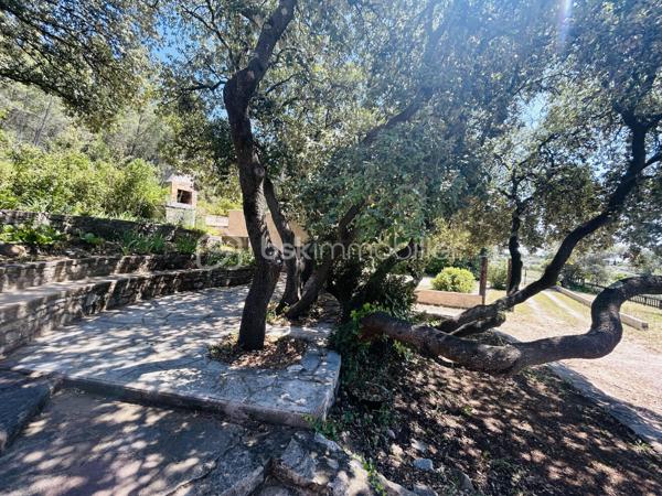 NOUVEAU et en EXCLUSIVITÉ à Saint Gervasy ! Vous avez un petit budget mais rêvez de nature et d’espace ?

En zone naturelle, venez découvrir cette maison de plain pied qui possède un charme fou, nichée au coeur de la verdure sur un terrain de 1239 m² !

Édifiée en 1973, elle se compose: d’un salon, d’une salle à manger, d’une cuisine, de 2 chambres, et d’une salle d’eau avec wc.

En partie avant : nombreuses places de stationnement possibles, garage de 15 m² environ et abri bois; en partie arrière: un beau jardin méditerranéen arboré, un petit mazet de 5 m² environ, et une petite cave.

Les prestations: chauffage électrique ( radiateurs) + poêle à bois. Présence de l’eau de ville, menuiseries simple et double vitrage ( PVC et bois). Fosse septique.

A vos agendas pour la visite !