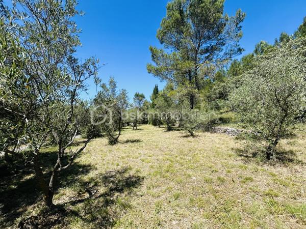 NOUVEAU et en EXCLUSIVITÉ à Saint Gervasy ! Vous avez un petit budget mais rêvez de nature et d’espace ?

En zone naturelle, venez découvrir cette maison de plain pied qui possède un charme fou, nichée au coeur de la verdure sur un terrain de 1239 m² !

Édifiée en 1973, elle se compose: d’un salon, d’une salle à manger, d’une cuisine, de 2 chambres, et d’une salle d’eau avec wc.

En partie avant : nombreuses places de stationnement possibles, garage de 15 m² environ et abri bois; en partie arrière: un beau jardin méditerranéen arboré, un petit mazet de 5 m² environ, et une petite cave.

Les prestations: chauffage électrique ( radiateurs) + poêle à bois. Présence de l’eau de ville, menuiseries simple et double vitrage ( PVC et bois). Fosse septique.

A vos agendas pour la visite !
