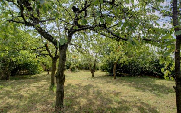 Maison à vendre    4 pièces •  Ingré