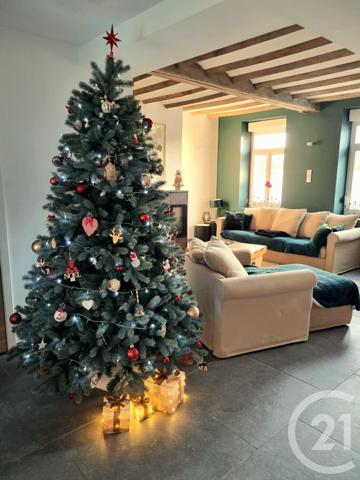 Maison à vendre  17 pièces - 285,23 m2 ROUSIES - 59