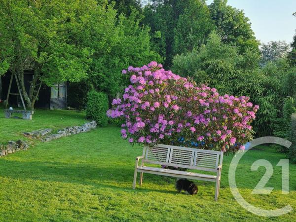 Maison à vendre  17 pièces - 285,23 m2 ROUSIES - 59