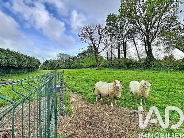 Maison à vendre 5 pièces 178,74 m² Pont-l'Abbé
