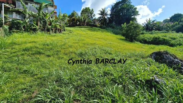 Terrain à FORT DE FRANCE (97200)