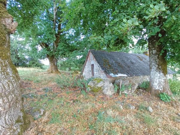 Buron avec terrain Proche de Salers