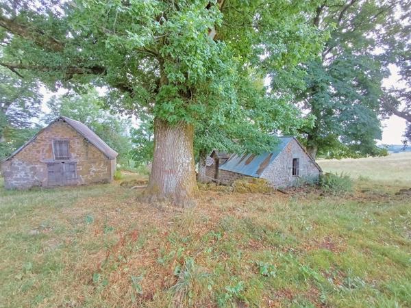 Buron avec terrain Proche de Salers
