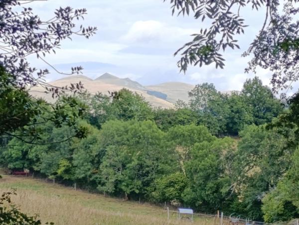 Buron avec terrain Proche de Salers